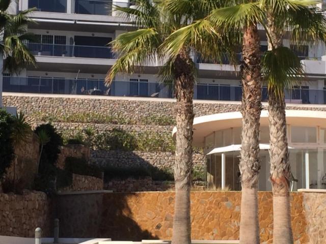 Luxury Beach Front Apartment 阿勒纳勒斯德尔索尔 外观 照片