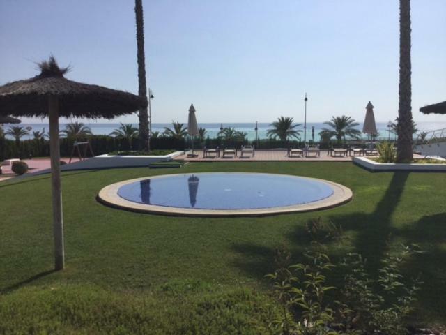 Luxury Beach Front Apartment 阿勒纳勒斯德尔索尔 外观 照片